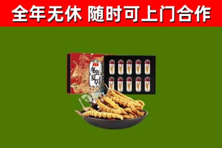 万江街回收冬虫夏草价格
