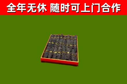 万江街回收海参